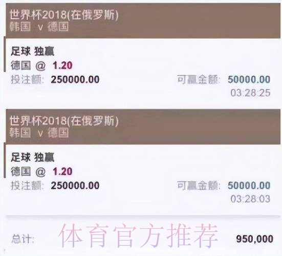 选择最佳平台进行世界杯投注的策略分析